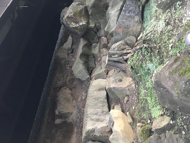 ����Β���Q���������ȁB�����c���̂R���̂Q�ʂ̂Ƃ���ɂ���܂��B_�Ί_�R