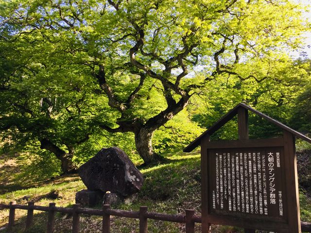 �ē���_�e���O�V�f�Q��