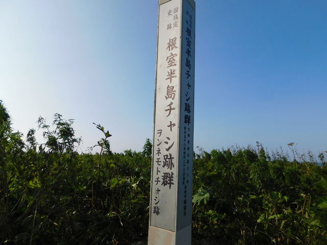 ����_�����l���g�`���V��