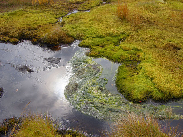 hesonabẽV^}mLDYn̓eʐ^10