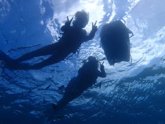 Ђ낿񂳂Nature Guide Double Rainbow lC`[KCh@_uC{[ւ̓eʐ^1