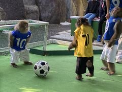 KKK����̓�������R�c�ւ̓��e�ʐ^1