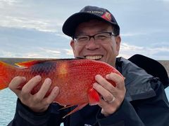 ގt̃JintBbVOւ̓eʐ^1