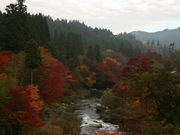 �������񂳂�̑�䕽�����̍g�t�̓��e�ʐ^2