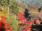 �������񂳂�̑�䕽�����̍g�t�̓��e�ʐ^3