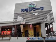 50̃Xm[{[h񂳂̂V ˓X̓eʐ^1