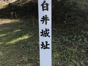 Shota����̔���隬�̓��e�ʐ^1