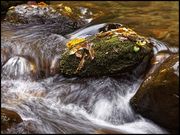 hesonabe̍gtkJ̓eʐ^7