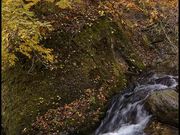 hesonabe̍gtkJ̓eʐ^8