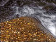 hesonabe̍gtkJ̓eʐ^9