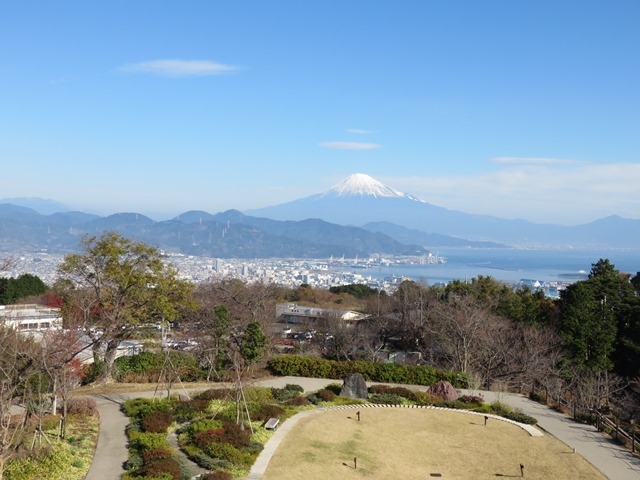 ���{�����e���X