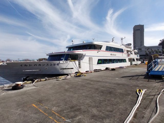 �����D_����