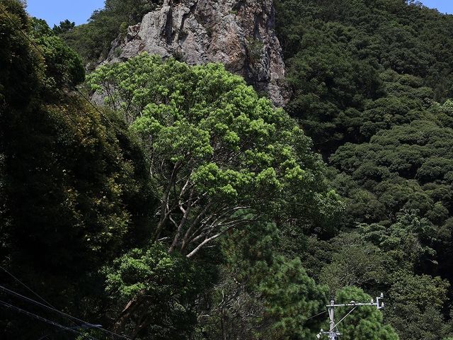 YanwenlỉY_Ђ̓eʐ^6