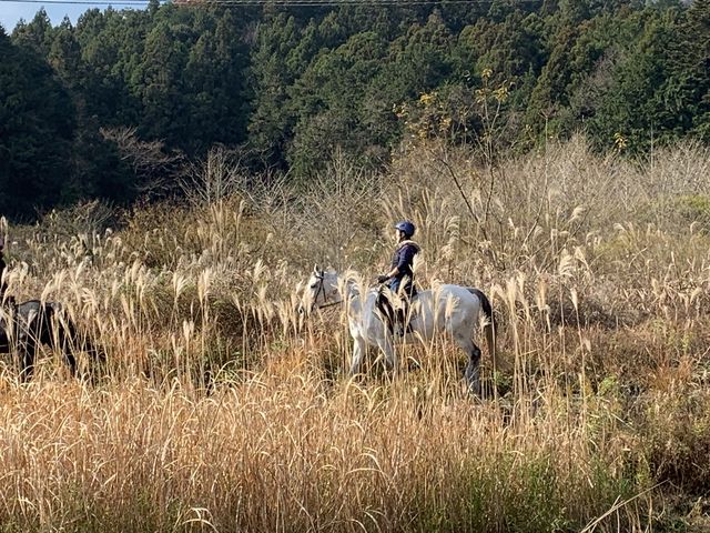 �r�������y�����������Ă��炢�܂���_�������n����