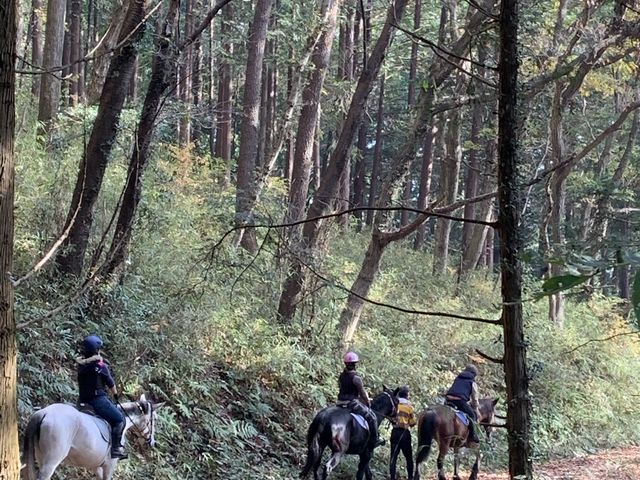 �ѓ��̎U���͍ō�_�������n����