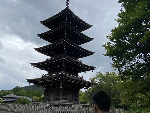 �������𐳖ʂɌ��ĉE��ɕ����čs���Ɨ��j�������铃�����т����B_��`�@�� ������