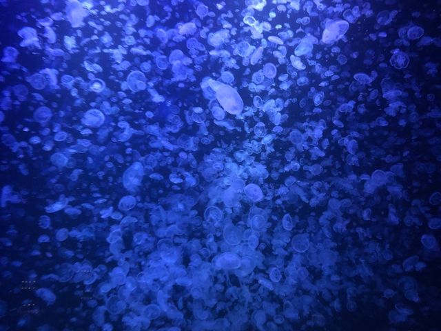 �吅���́A���͂�����܂��B_�߉��s�����ΐ�����