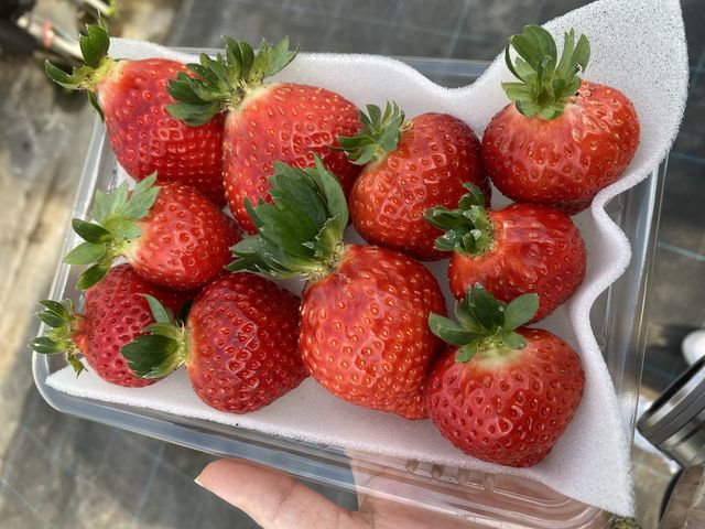 �������A��̃C�`�S�B_������t�@�[��