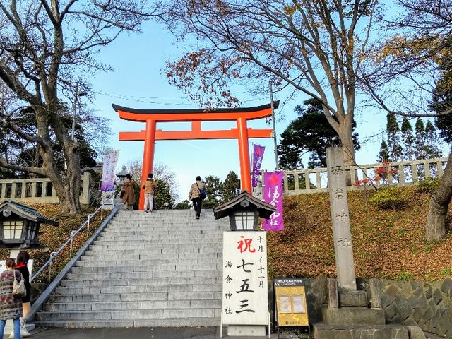 �����ƎЍ��W_���q�_��