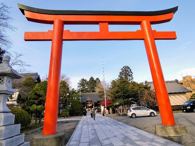 ����_���q�_��