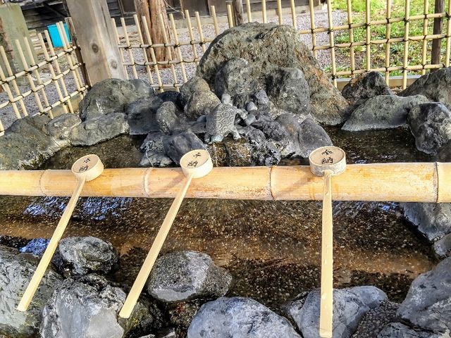 �萅��_���q�_��