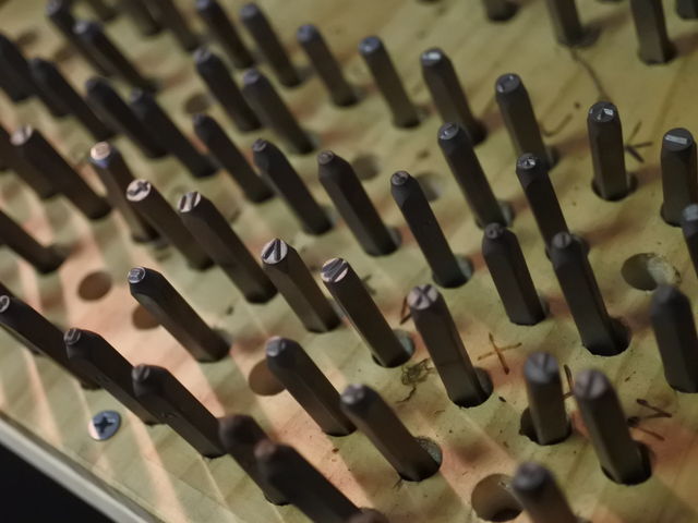 ��������_�n���̃V���R�E��