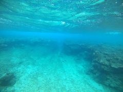 ��������̐Ί_���V���m�[�P���c�A�[�ւ̓��e�ʐ^1