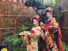 Ⴓ̕W̌@ʂւ̓eʐ^3