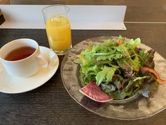 y񂳂̃K[fze_tRւ̓eʐ^1