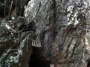 YanwenlỉY_Ђ̓eʐ^3