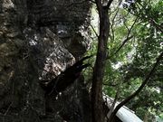 YanwenlỉY_Ђ̓eʐ^4