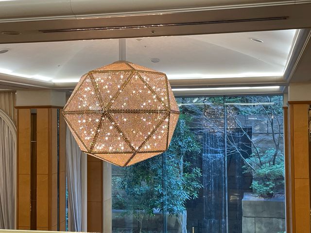 �V�����f���A_���[�K���C�����z�e�����q