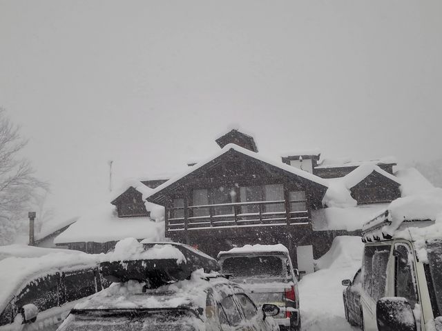 AŐႪ񂵂ƍ~Ă܂Aq̓DŐĝ̐c܂ŉ܂܂I_n̓@q̓