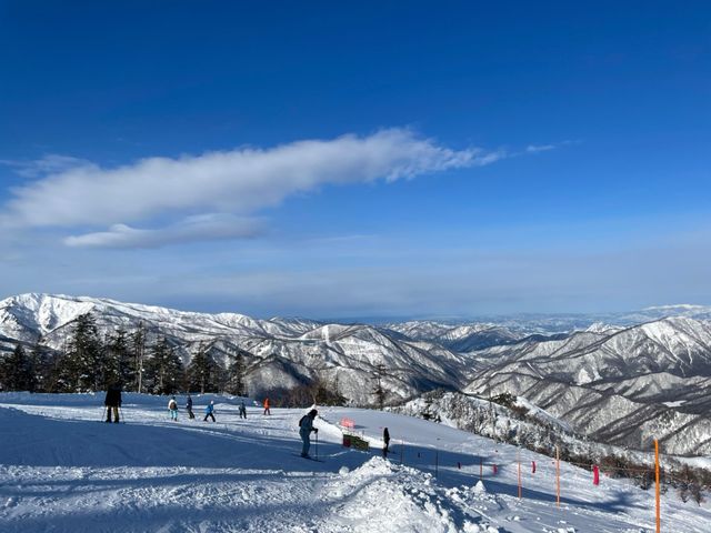 �Y��Ȍi�F�ł����I_�c��X�L�[��