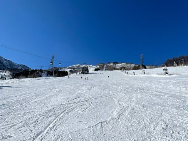 �V�C�ǂ��čō�_�c��X�L�[��