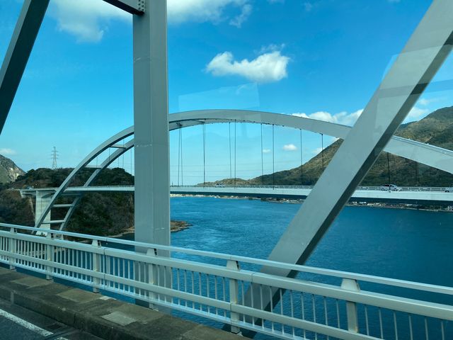 �V���܋�(�p�[�����C��)_�V���܋��i�p�[�����C���j