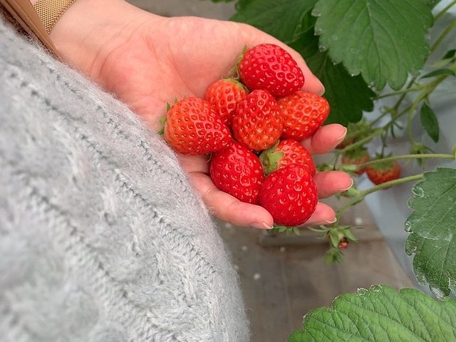 �����̒��̎q�ƍ��N���̂��������(^^)_�C�`�S�n�E�X�����̉�