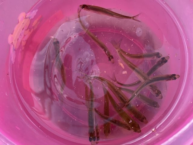 vĂ肽ނ܂^_^_񂵂̂򂽂Ղ̓