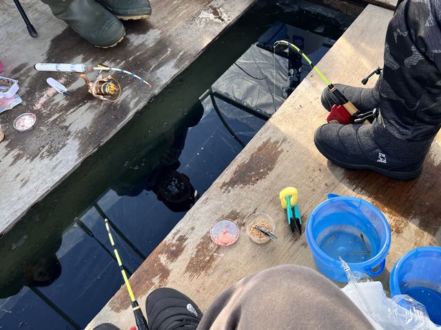 JTMeg̓|bJ|JII_񂵂̂򂽂Ղ̓