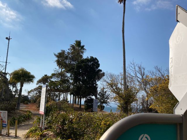 �l�Y�P�l�r�[�`_�l�Y���l�r�[�`