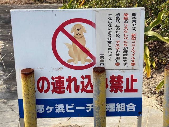 �l�Y�P�l�r�[�`_�l�Y���l�r�[�`