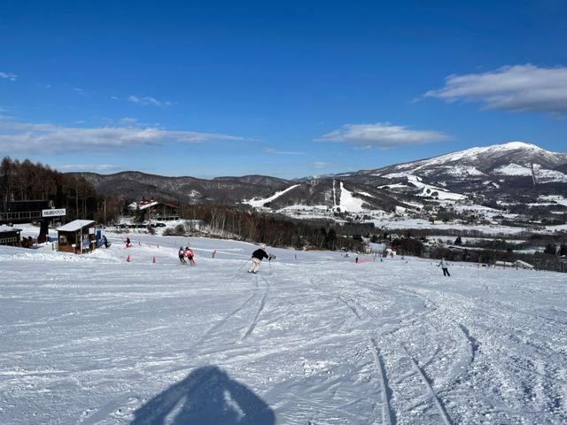 �Q�����f_�M�B���������p�C���r�[�N�X�L�[��