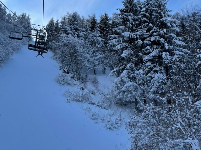 �ᑽ������_�M�B���������p�C���r�[�N�X�L�[��