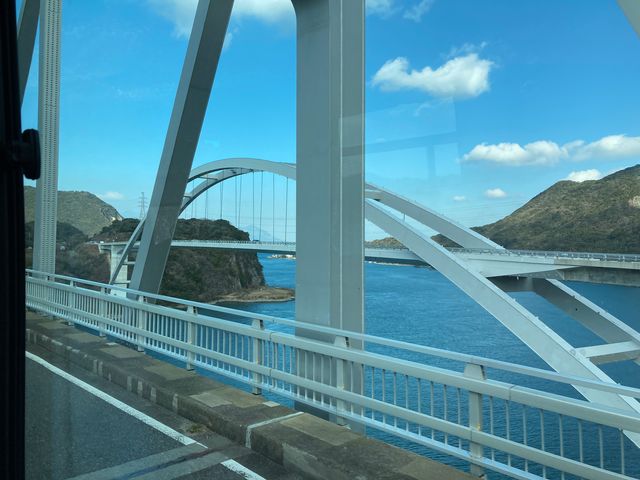 �V���܋�(�p�[�����C��)_�V���܋��i�p�[�����C���j