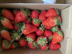 naorin̘p݃x[t@[ւ̓eʐ^1