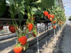 �ȂȂ���̕x�ÃA�N�A�t�@�[���ւ̓��e�ʐ^1