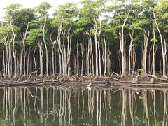 MIYO̔dRόtF[ւ̓eʐ^1