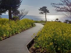 j[[Nv~[WA&t[K[f̎ʐ^1