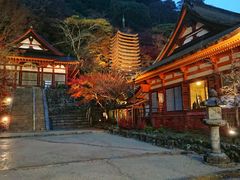 りゅうさんの談山神社への投稿写真1
