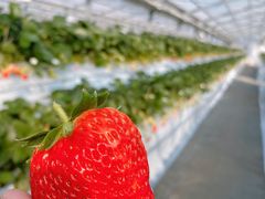 䂫̂̂_sAbc@ւ̓eʐ^1